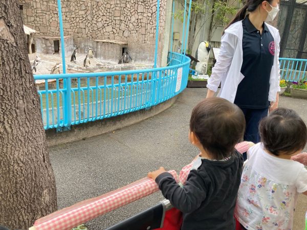 動物との出会い