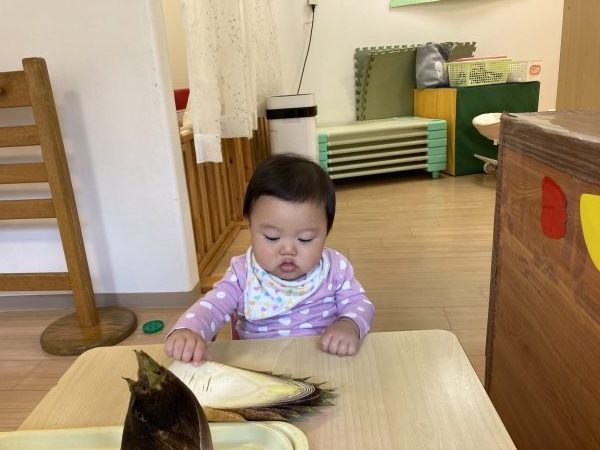 たけのこの姿