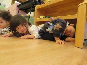 すみっこだ～いすき
