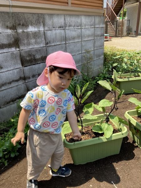 【わかば組】きになる