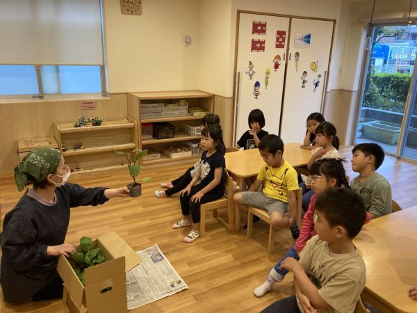 野菜の苗を植えたよ