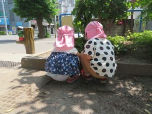 だんご虫さん、うごかないねぇ・・・。
