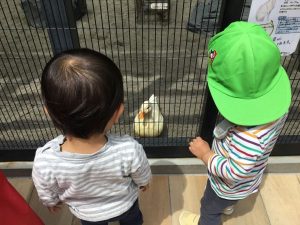 生き物との触れ合い