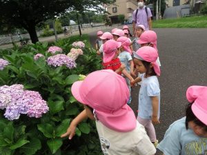 木登りたのしい～！