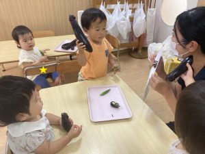 夏野菜に触れよう！