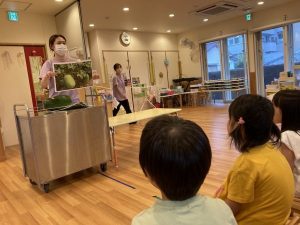 【あか組】冬瓜の仲間って？？（食育）