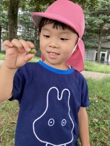 どんぐりみーつけた♡
