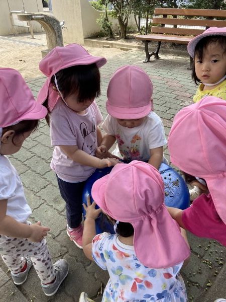 【そら組】公園で何かを見つけたよ！