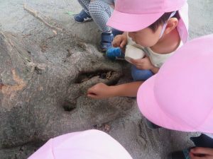公園に行ってきました！