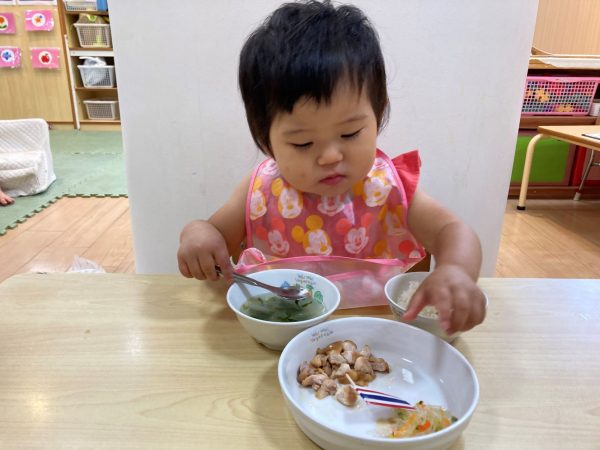 世界の料理