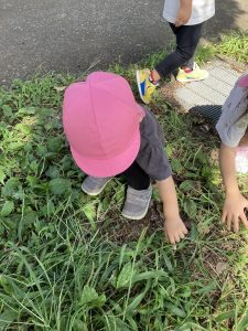 みーつけたぁ☆
