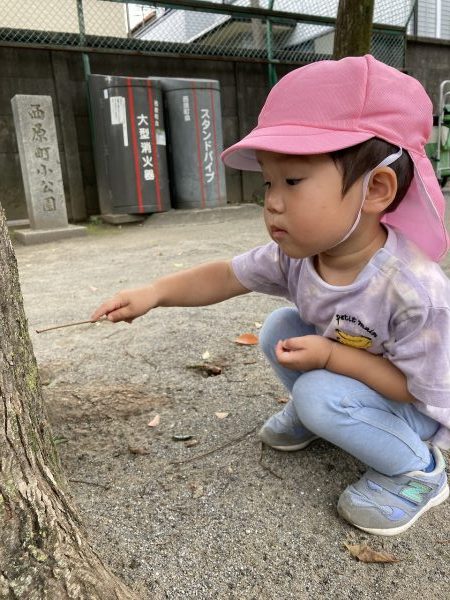 【そら組】公園で見つけたもの