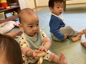 きのこのこのこ不思議なきのこ
