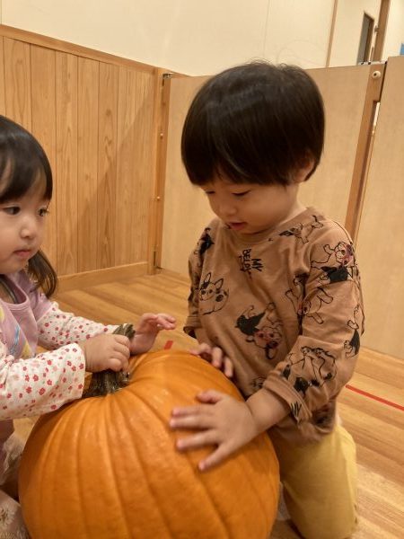 【わかば・そら・あお組】子どもたちの様子♪