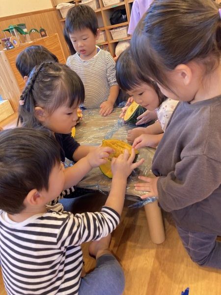 【わかば組】カボチャに触れてみよう♪