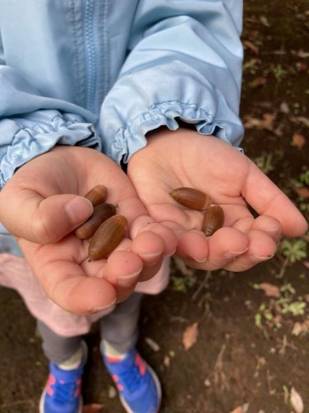 【あか組】秋の落とし物🍂