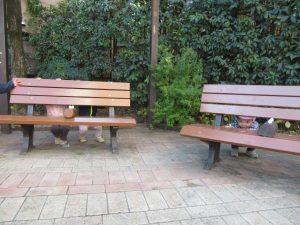 「もういいかぁーい？」