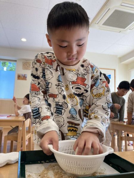 美味しいお米が出来たよ！！