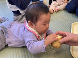 いろいろなお芋