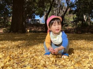 落ち葉のじゅうたん