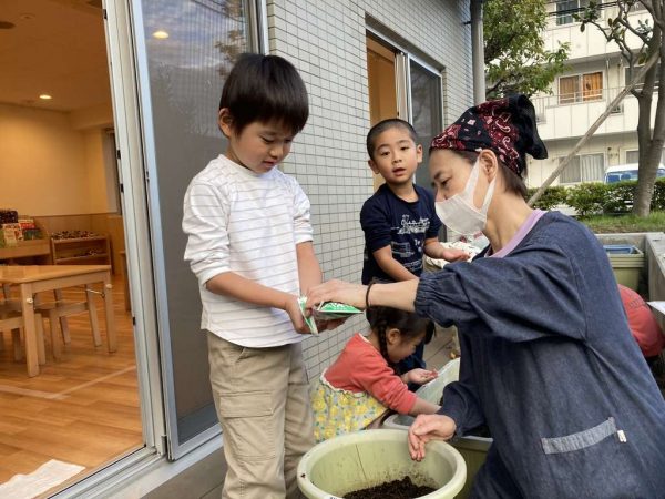 野菜の種を植えたよ！