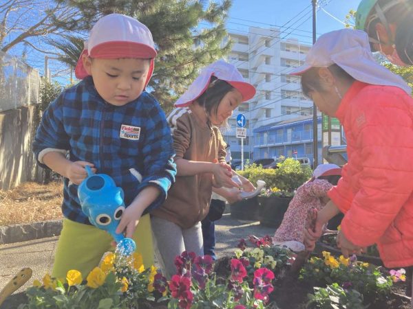 お花を植えたよ！
