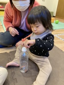 どんぐりマラカス♫