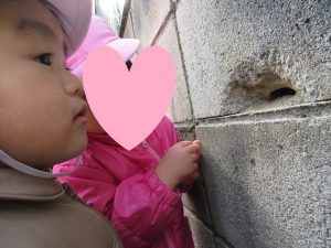 どうやっていれる？
