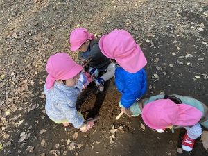 地面をほじほじ…