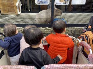 カピバラさんこんにちわ！