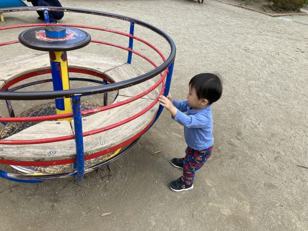 毎日の成長