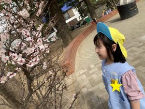 春ですよ