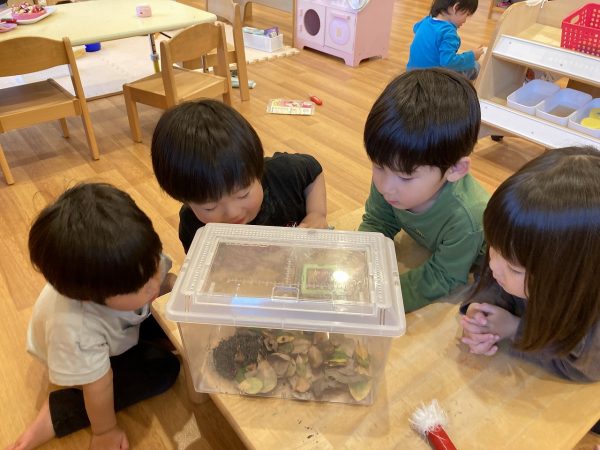 【きいろ・わかば組】生き物への興味・・・
