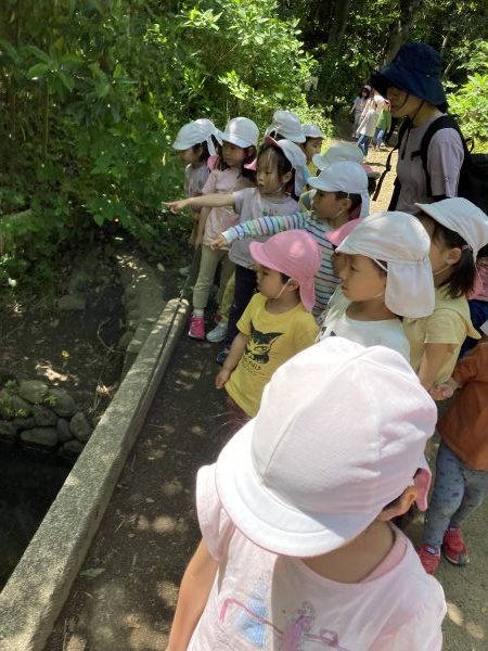 【きいろ・おれんじ組】公園にて