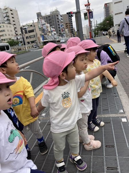 【わかば組】お散歩先で🎏見つけたよ！