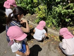 一緒に虫を探そう！～保育参加～