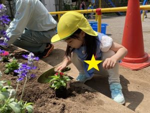 お花植え