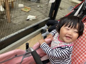 動物の学校へ