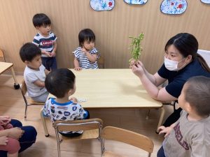 食育「枝豆」