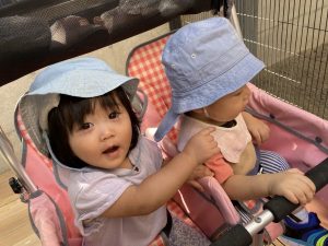 動物さんこんにちは！