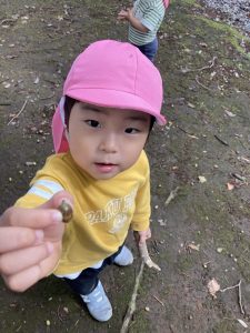 どんぐりみーつけた！