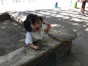 公園での発見