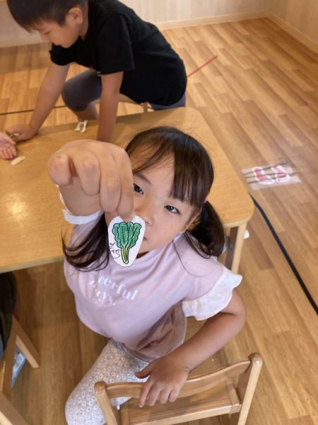 野菜の栽培が始まったよ