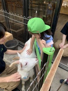 動物とのふれあい