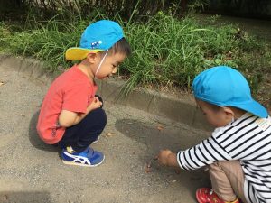 どんぐり発見！