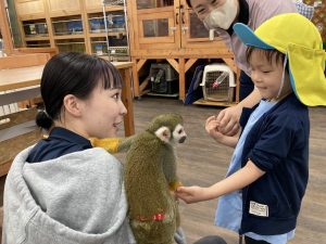 動物との触れ合い