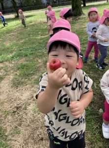 秋の木の実探し♪