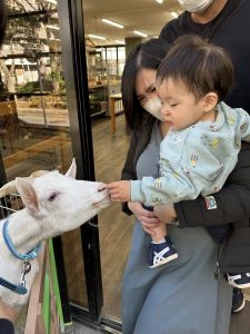 親子でふれあい