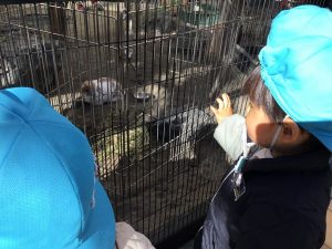 動物さん大好き！