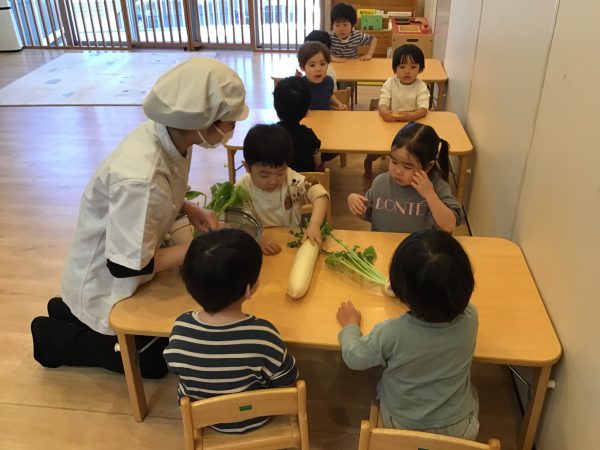 大根とかぶを触りました！